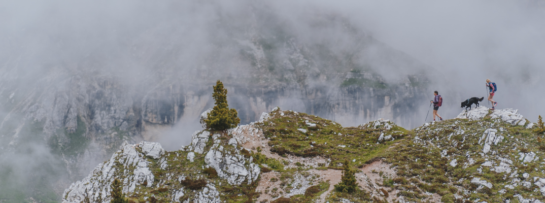 MeetTheMountain